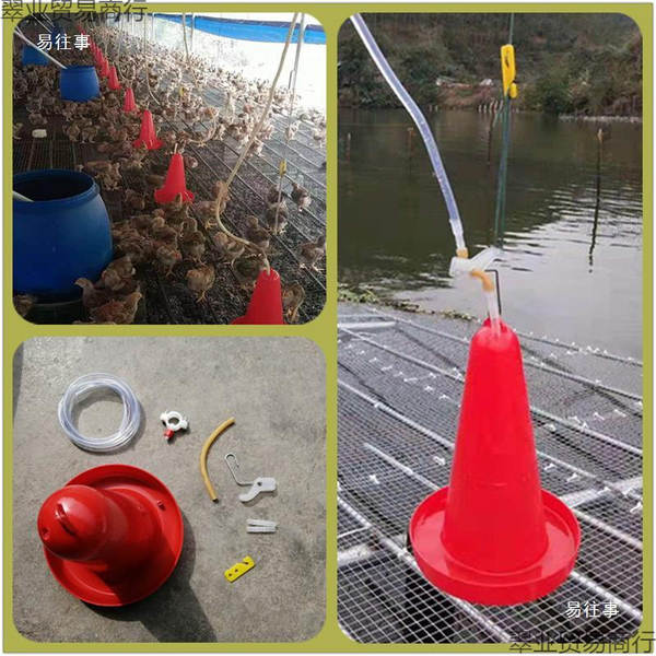 Novas máquinas automáticas de beber água de frango com controlador de interruptor de frango