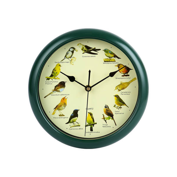 Amazon lança relógio de 10 a 13 polegadas de tamanho médio.