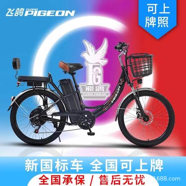 Bicicleta Elétrica para Adultos