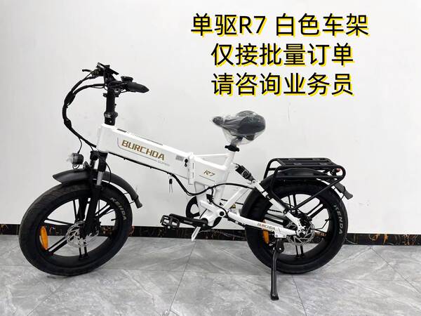 Bicicletas elétricas dobráveis com motores elétricos dobráveis com longa duração de 26 polegadas personalizáveis