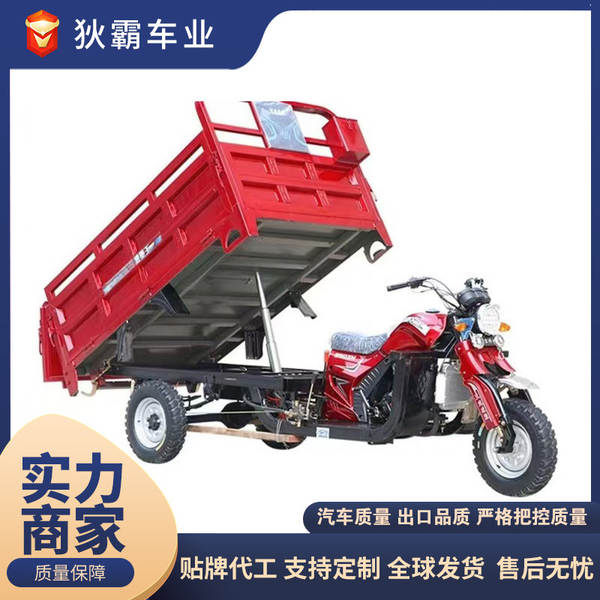 Triciclo Auto Descarregador