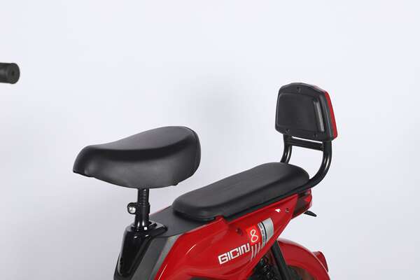Carro elétrico duplo adulto bicicletas elétricas de origem fábrica carro elétrico de varejo