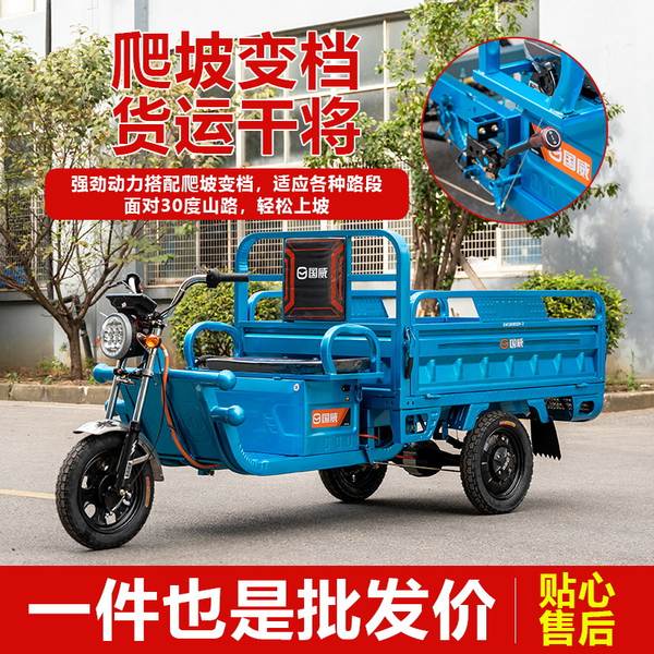 Triciclo Elétrico de Carga