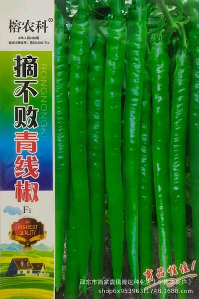 Sementes de Pimenta Miúda