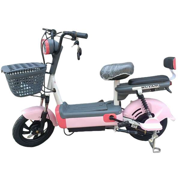 Bicicleta Elétrica Portátil