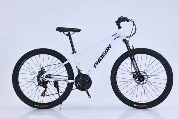 Bicicleta de Montanha 24 ou 26 Polegadas