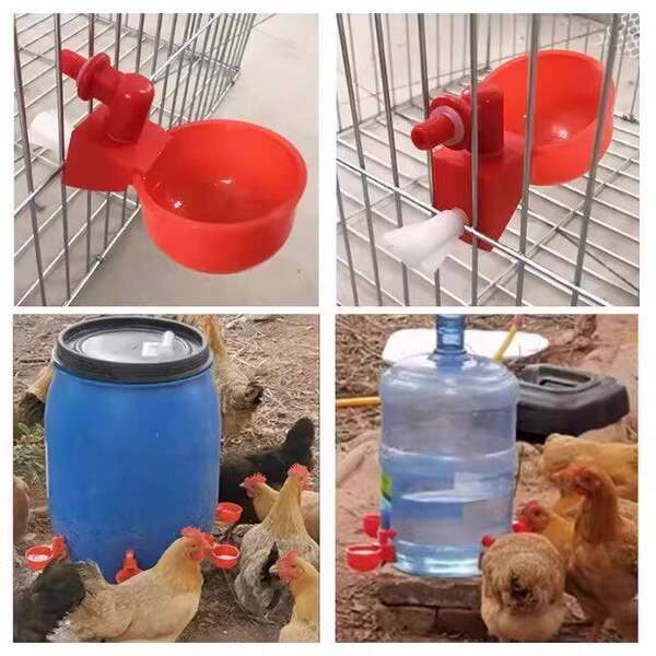 Bebedouro Automático para Aves