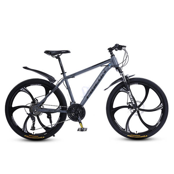 Bicicleta de Montanha 24 Polegadas