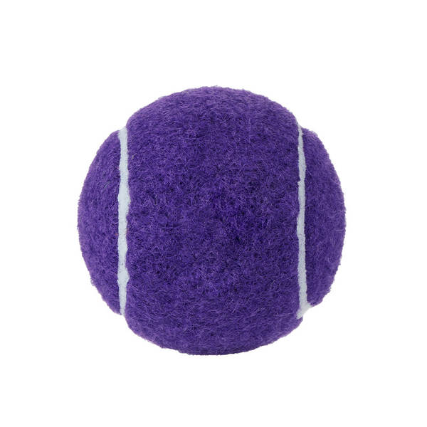 Bola de Borracha para Cães