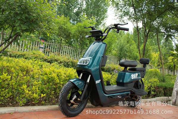 Fonte de fábrica atacado de veículos elétricos de duas rodas OEM duas rodas de bicicleta elétrica Lithium trampolim assistente de água de freio de tambor
