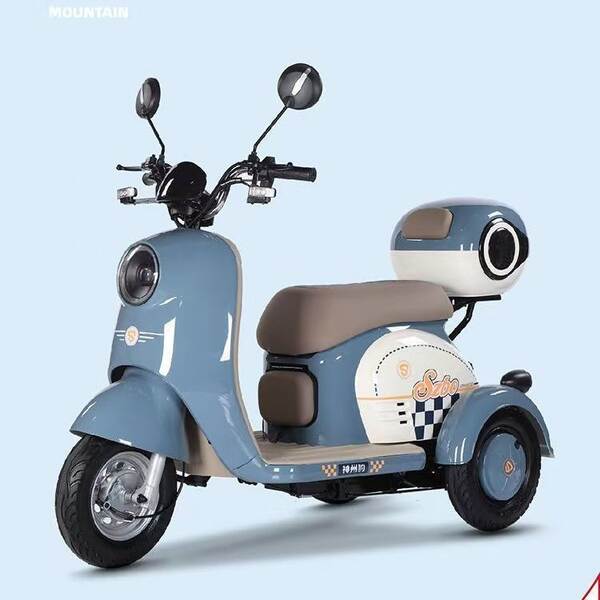 Novo carro elétrico de três rodas para adultos com caminhão para mulheres pequenas para transportar crianças idosas para carros elétricos