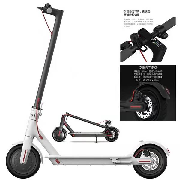 Scooter Elétrico para Adulto