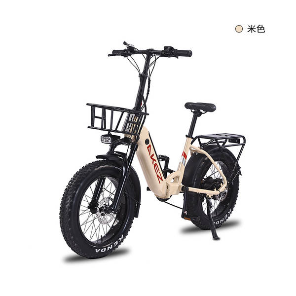 Bicicletas elétricas de 20 polegadas com freio de óleo dobrável de liga de alumínio com assistência elétrica