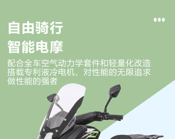 Transfronteiriço motocicleta elétrica iate motocicleta de passeio pode ser licenciado para veículos elétricos de longa duração
