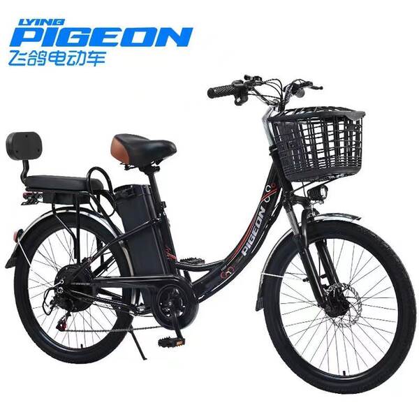 Bicicleta Elétrica para Adultos