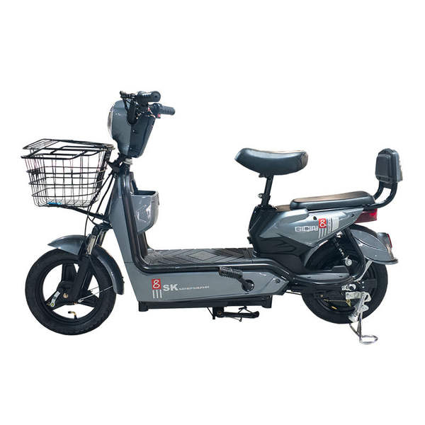 Bicicleta Elétrica Adulto