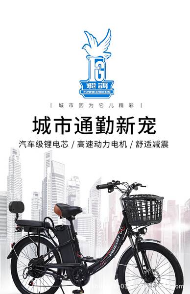Bicicleta Elétrica para Adultos