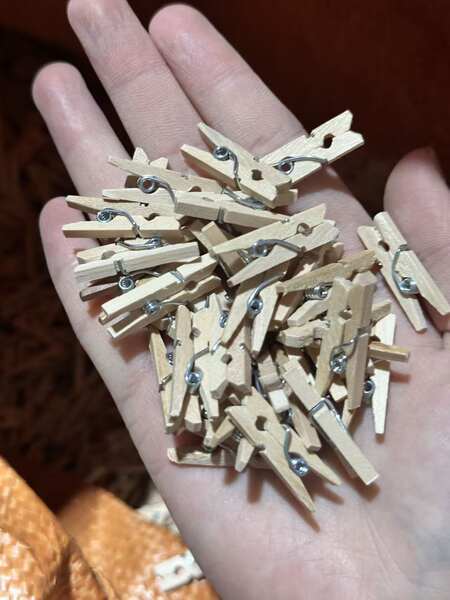 Pinos de Madeira para DIY