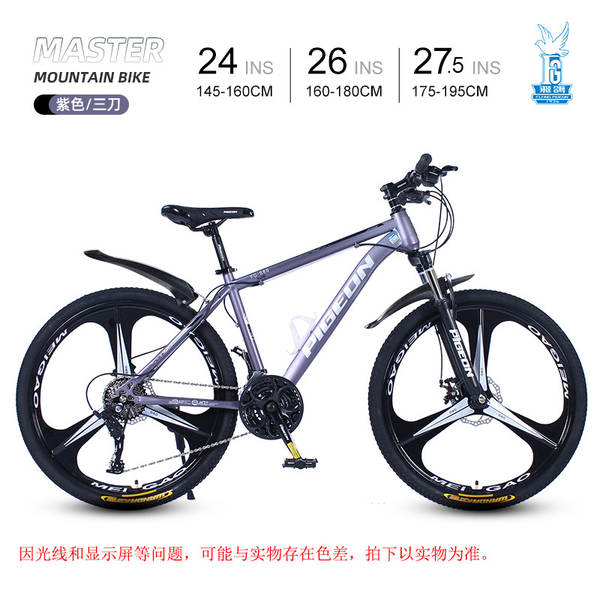 Bicicleta de Montanha 24 Polegadas