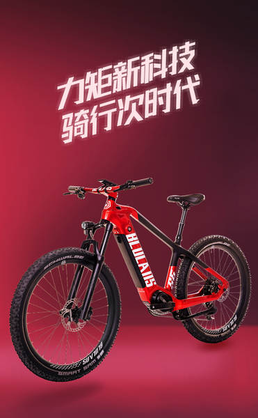 Bicicletas elétricas Lithium elétricas motores rectangulares de fibra de carbono bicicletas elétricas de montanha
