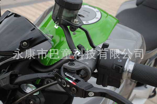 Z1000 Motorcycle elétrico de alta velocidade