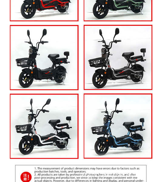Bicicleta Elétrica para Adultos