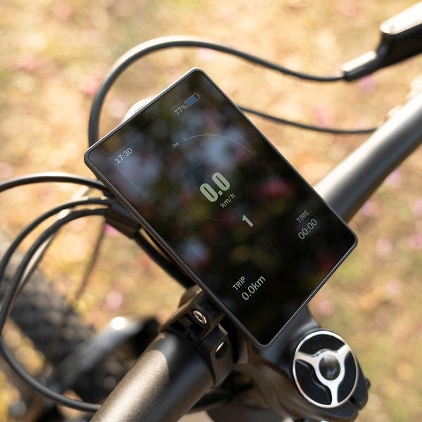 Bicicleta Elétrica de Montanha com Amortecimento