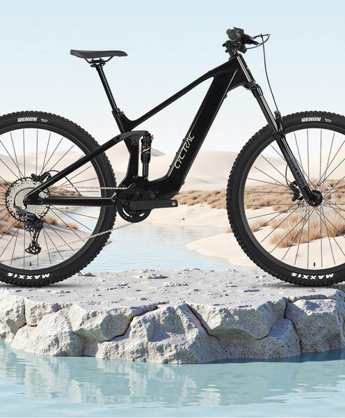 CYCTRAC bicicleta elétrica assistida EM19 mountain cross-country eBike veículo elétrico 48V motor a motor