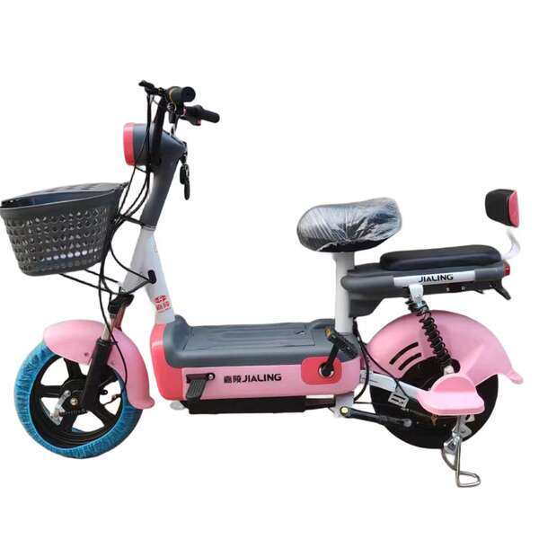 Bicicleta Elétrica Portátil