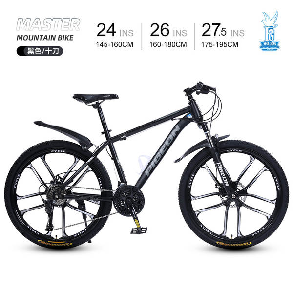 Bicicleta de Montanha 24 Polegadas