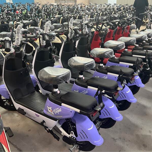 Novo veículo elétrico para adultos com duas rodas
