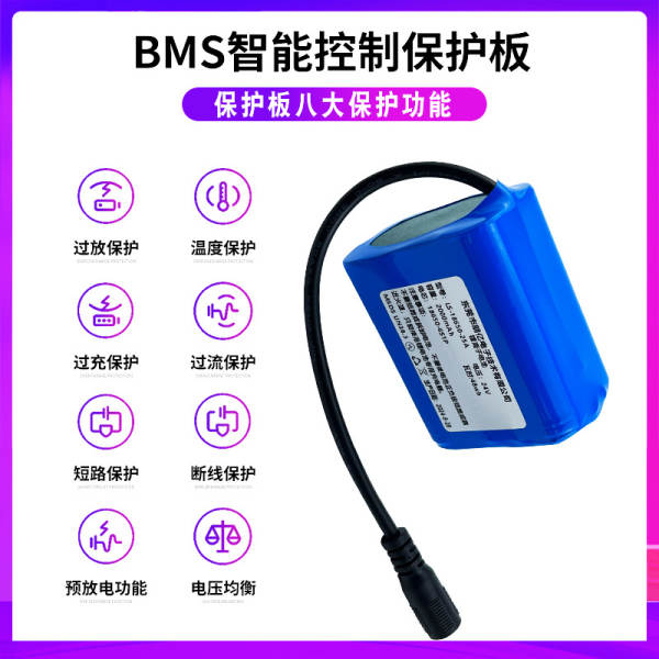 Bateria de Lítio 24V 3000mAh