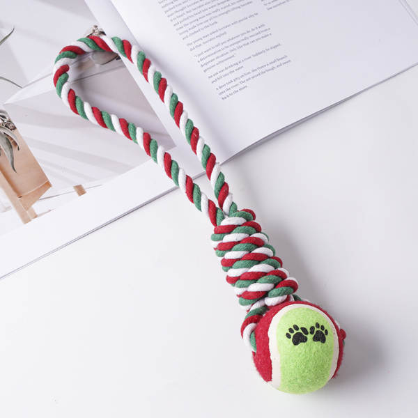 Bola de Futebol para Cachorro