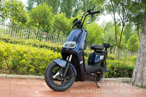 Fonte de fábrica atacado de veículos elétricos de duas rodas OEM duas rodas de bicicleta elétrica Lithium trampolim assistente de água de freio de tambor