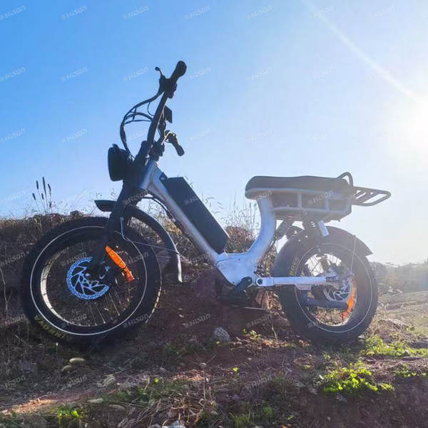 Bicicleta elétrica de montanha de duas baterias 48V 20Ah Escalada de alta velocidade 55km/h Regata leve de liga de alumínio