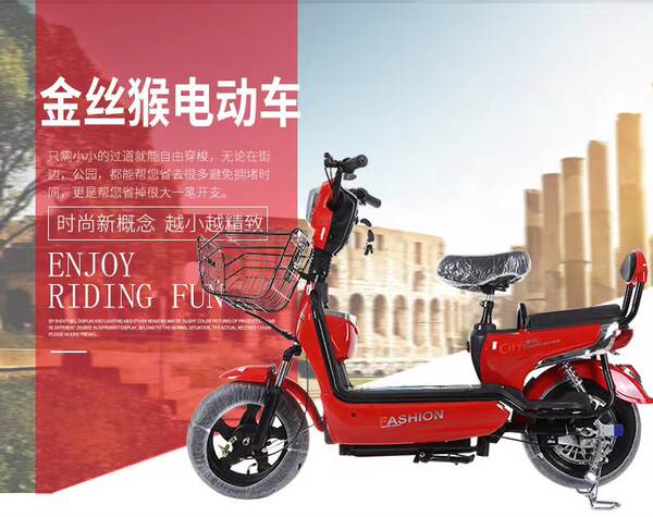 Novo veículo elétrico de duas rodas veículo elétrico bicicleta elétrica para adultos veículo elétrico para estudantes de 48V veículo elétrico de duas rodas