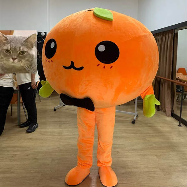 Traje de Personagem de Animação
