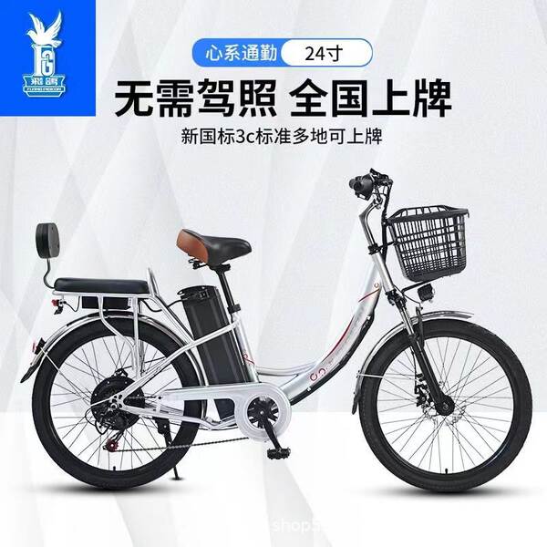 Bicicleta Elétrica para Adultos