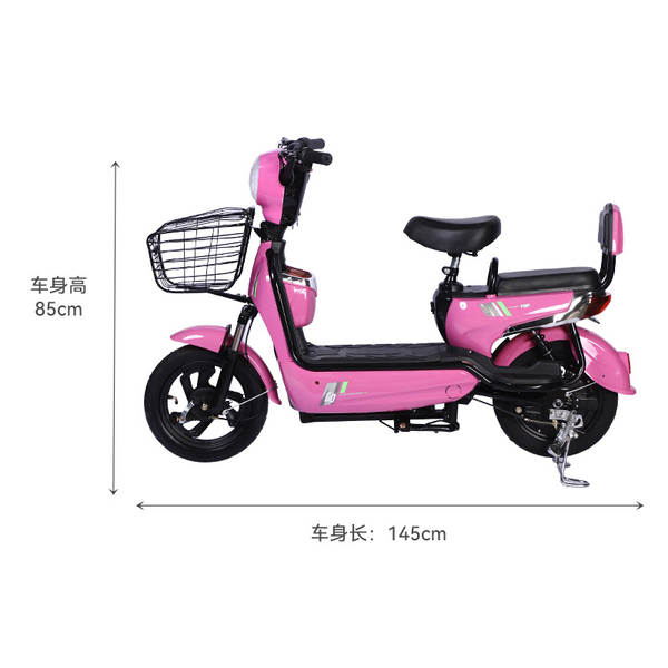 Novo carro elétrico para adultos Super Bottle carro elétrico bicicleta elétrica para pedestres bicicleta elétrica presente