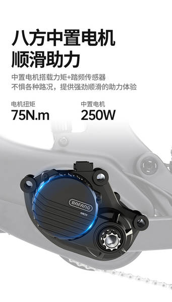 CYCTRAC motores intermediários de fibra de carbono dupla protecção contra terremotos EM19 bicicleta de montanha 250W assistência elétrica