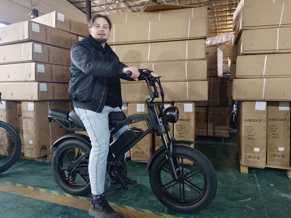 Bicicletas elétricas de areia de areia de neve de 20 centímetros com duração longa do novo modelo 520 Lithium elétrico