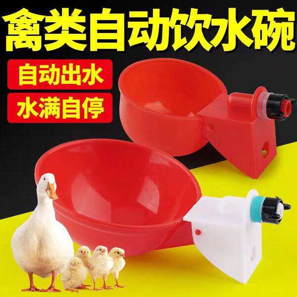 Bebedouro Automático para Aves