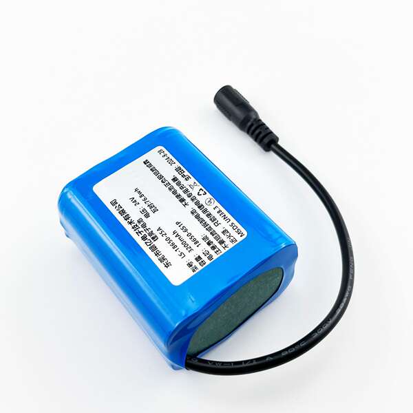 Bateria de Lítio 24V 3000mAh