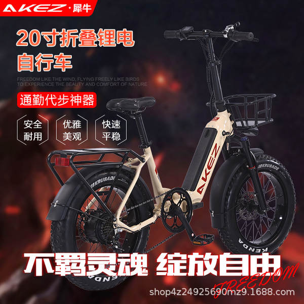 Bicicletas elétricas de 20 polegadas com freio de óleo dobrável de liga de alumínio com assistência elétrica