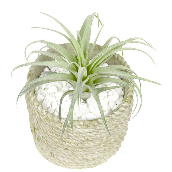 A árvore do gato simulação de plantas 15cm ar Phoenix plantação de pelúcia multi-carne mini-ar plantação de parede verde decoração de erva artificial