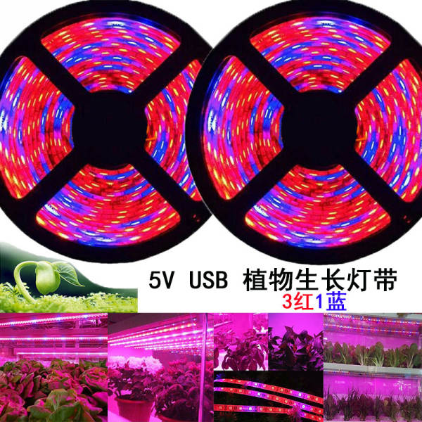 Luz transfronteiriça de crescimento de plantas USB 5V2835LED3 vermelho 1 azul-vermelho-azul Espectroscópico de iluminação composta de piscinas de iluminação