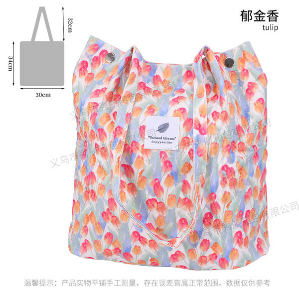 ins风简约灯芯绒帆布包双肩带帆布袋旅行外出收纳包女包单肩包
