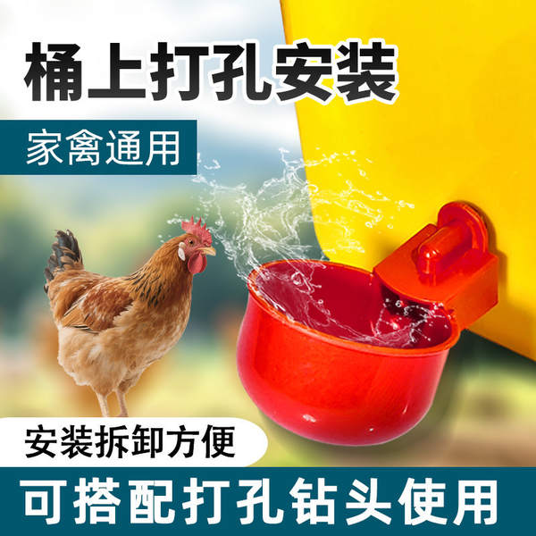 Bebedouro Automático para Aves