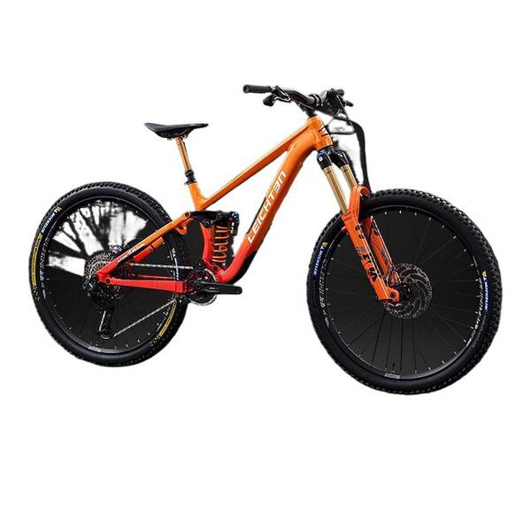 Bicicleta de Montanha Alemã 12 Velocidades