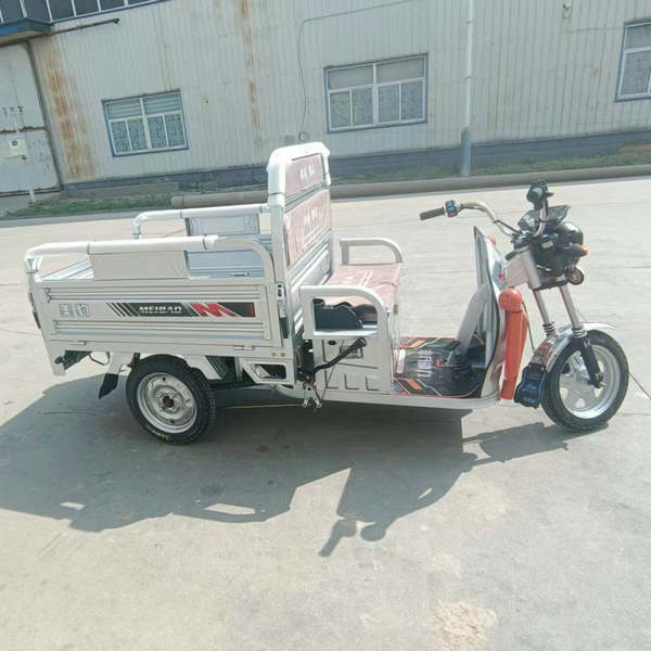 Triciclo Elétrico Branco para Carga